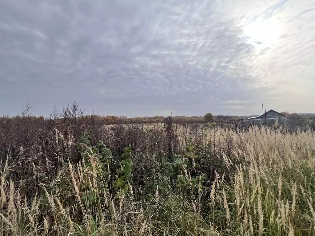 Участок в Ярославская область, Переславль-Залесский муниципальный ... - Фото 2