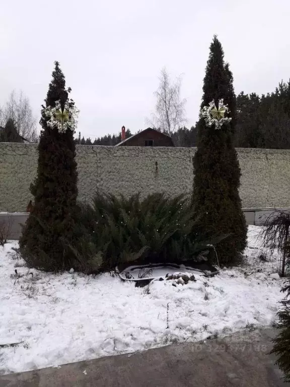Дом в Московская область, Балашиха городской округ, д. Дятловка ул. ... - Фото 2