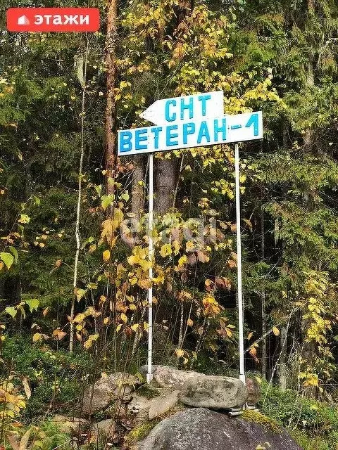 Участок в Карелия, Прионежский район, Нововилговское с/пос, Ветеран-1 ... - Фото 0