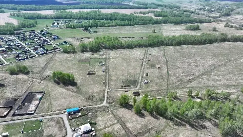 Участок в Новосибирская область, Новосибирский район, Морской ... - Фото 1