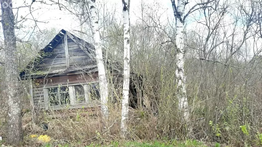 Участок в Панковское городское поселение, садоводческий массив № 1, ... - Фото 1