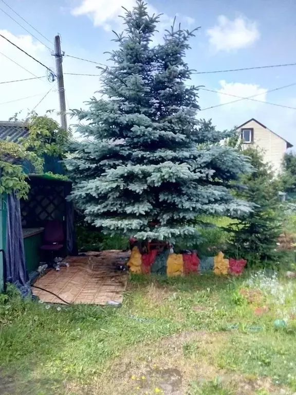 Дом в Ленинградская область, Кировское городское поселение, Беляевский ... - Фото 2