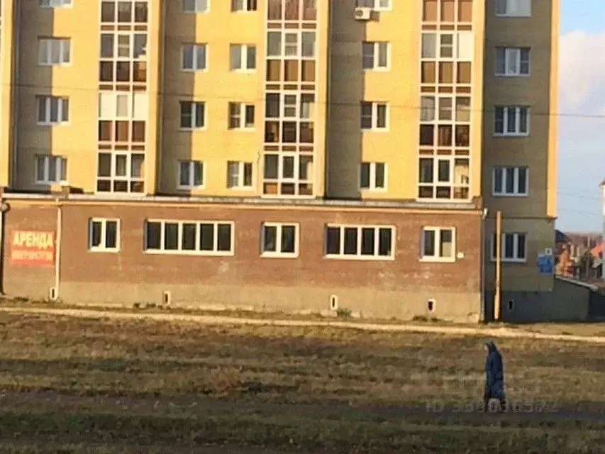 Помещение свободного назначения в Мордовия, Рузаевка Школьный бул., 1 ... - Фото 1