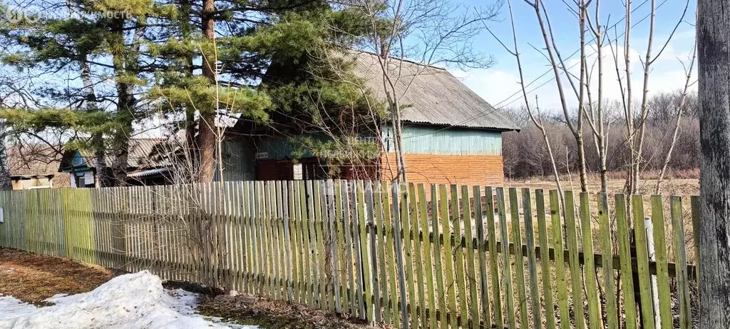 Дом в Приморский край, Анучинский муниципальный округ, село Муравейка ... - Фото 0