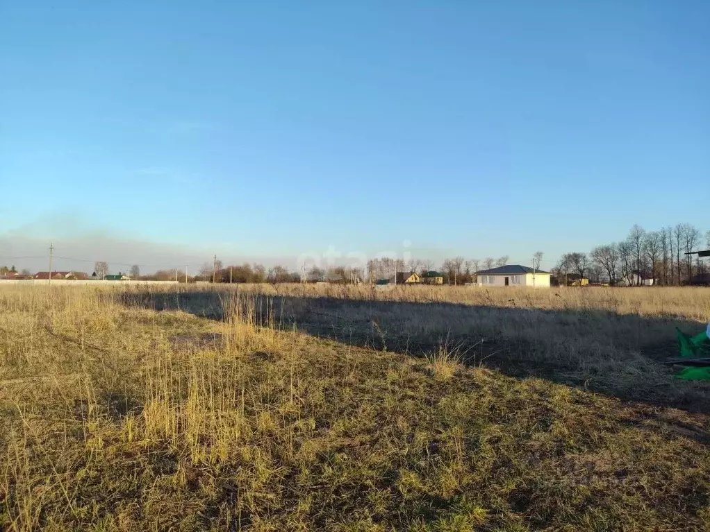 Участок в Владимирская область, Муром с. Чаадаево,  (12.0 сот.) - Фото 1