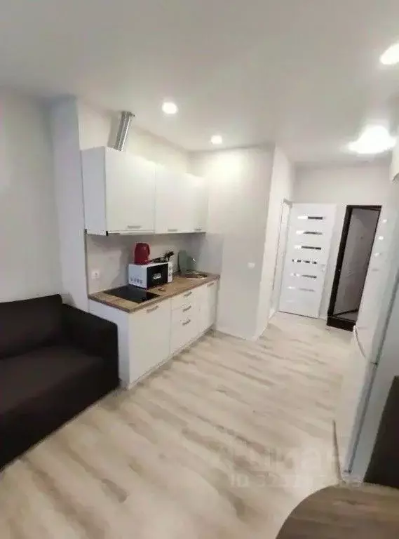 1-к кв. Краснодарский край, Сочи городской округ, Дагомыс пгт ул. ... - Фото 2