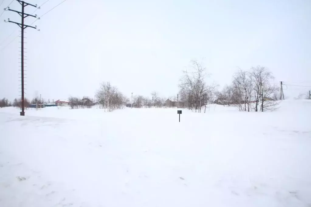Участок в Ямало-Ненецкий АО, Новый Уренгой Лира ДНТ,  (6.13 сот.) - Фото 0