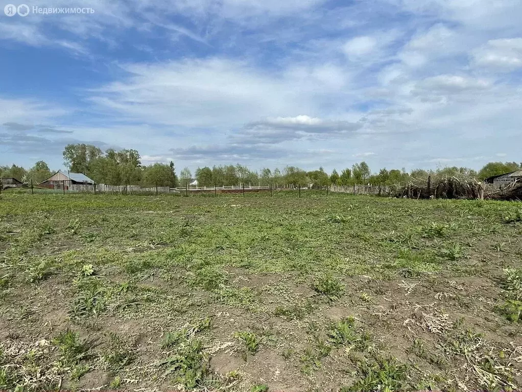 Участок в село Повалиха, 1-я Набережная улица, 11 (10 м) - Фото 2