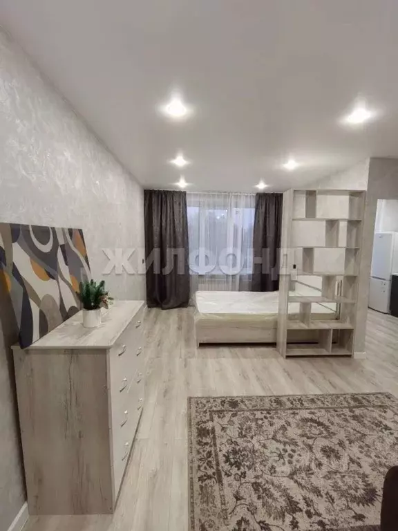 1-к кв. Новосибирская область, Новосибирск ул. Гоголя, 229 (31.1 м) - Фото 2