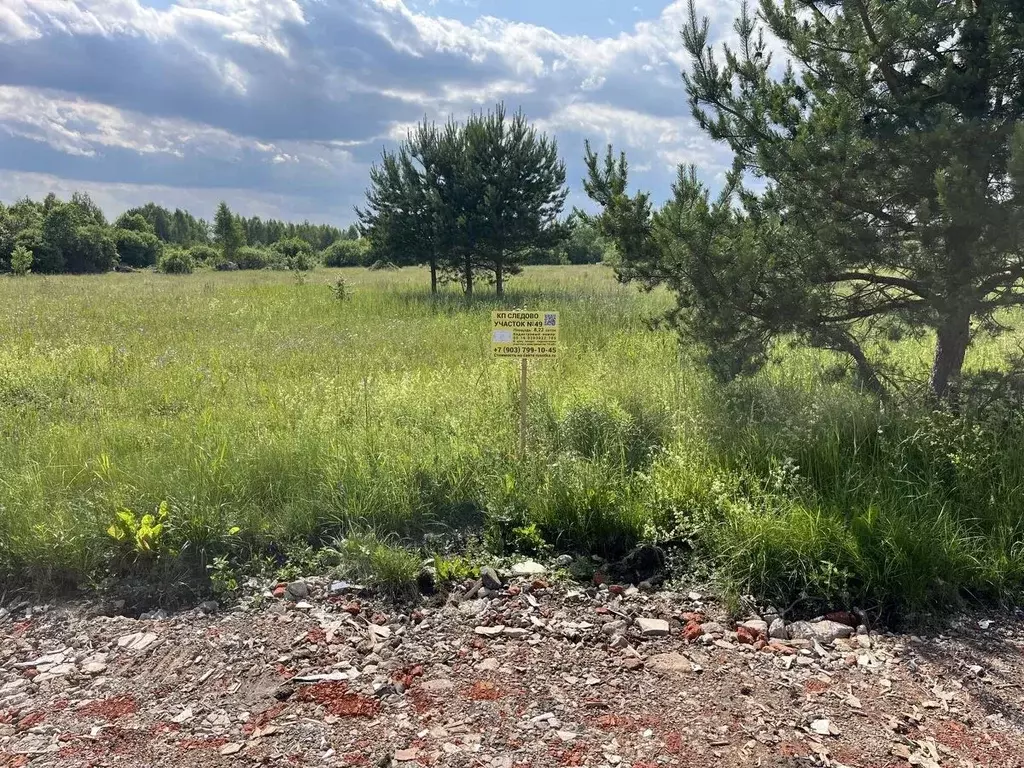 Участок в Московская область, Богородский городской округ, Следово кп ... - Фото 1