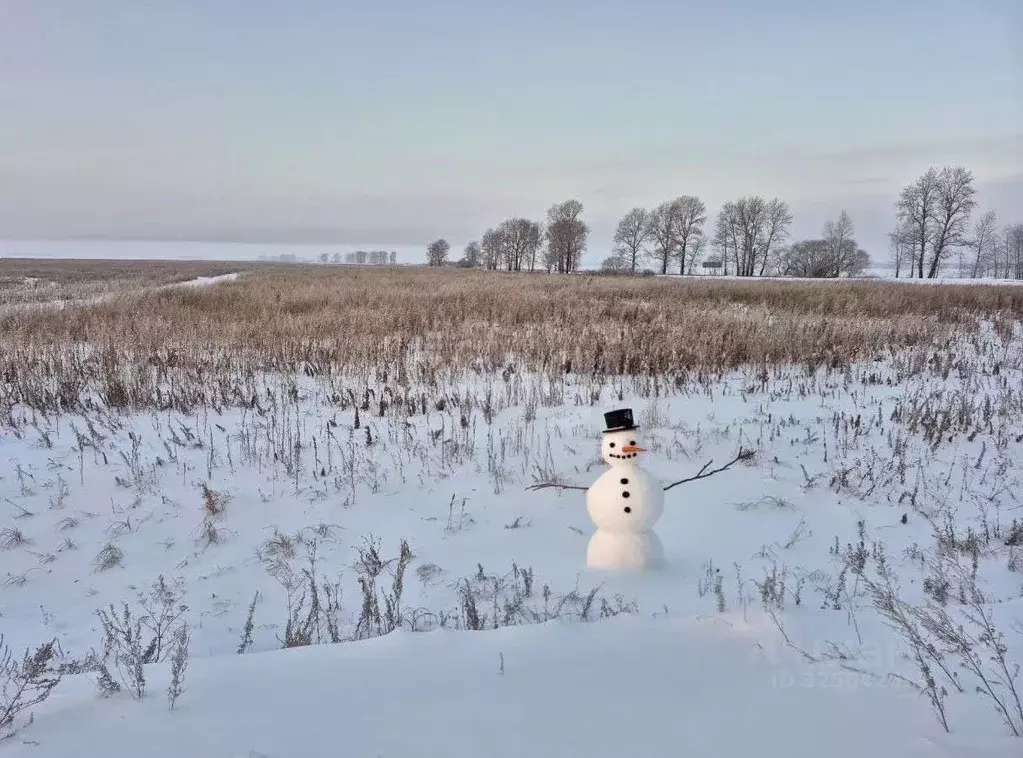 Участок в Амурская область, Благовещенский район, с. Новотроицкое  ... - Фото 1