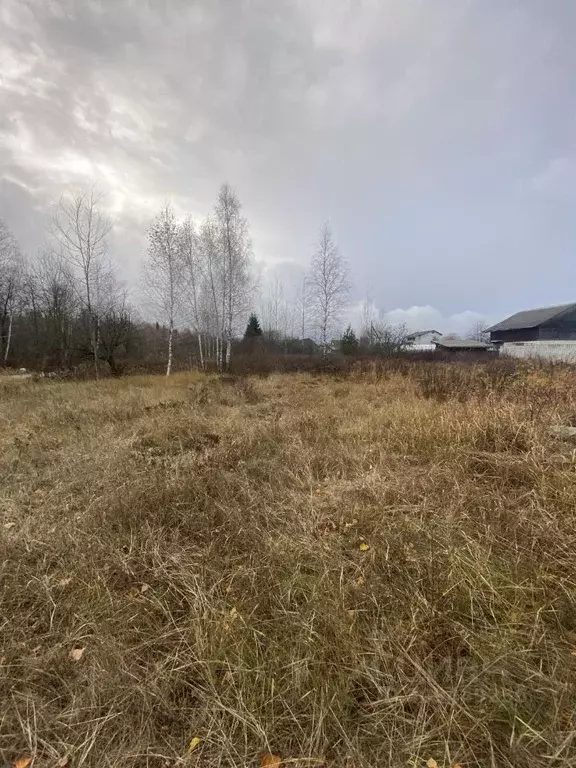 Участок в Брянская область, Брянск Большое Полпино пгт, пос. Снежка,  ... - Фото 1