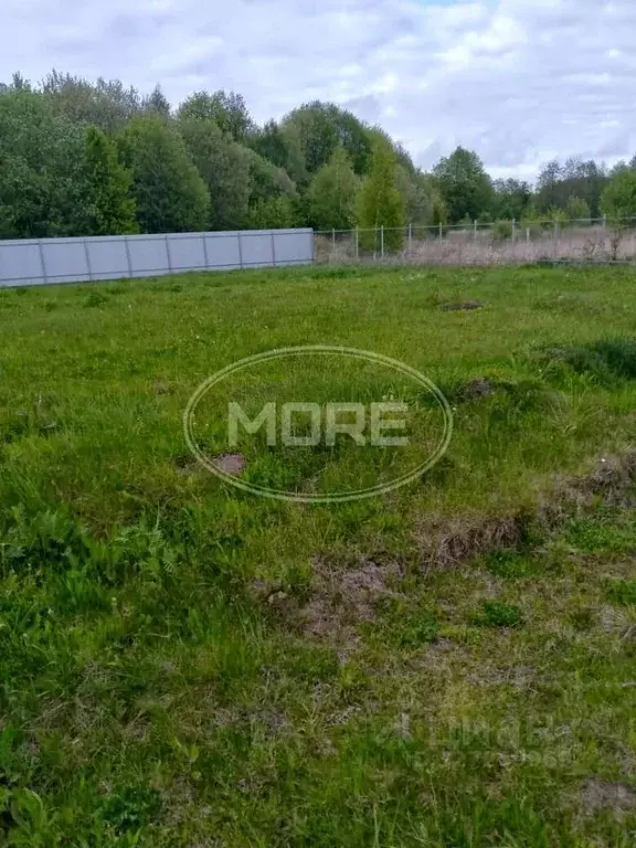 Участок в Калининградская область, Гурьевский муниципальный округ, ... - Фото 1