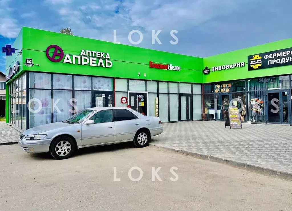 Торговое с витринами 18,5 м Ул. Федора Горячева - Фото 1