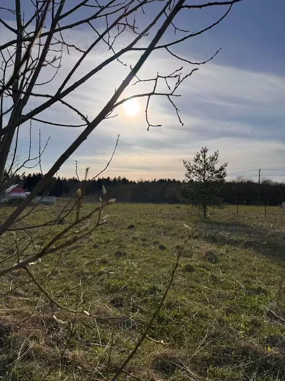 Участок, 15 сот., поселения (ижс) - Фото 1