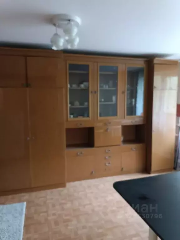 1-к кв. Новосибирская область, Новосибирск ул. Ватутина, 75/1 (30.0 м) - Фото 1