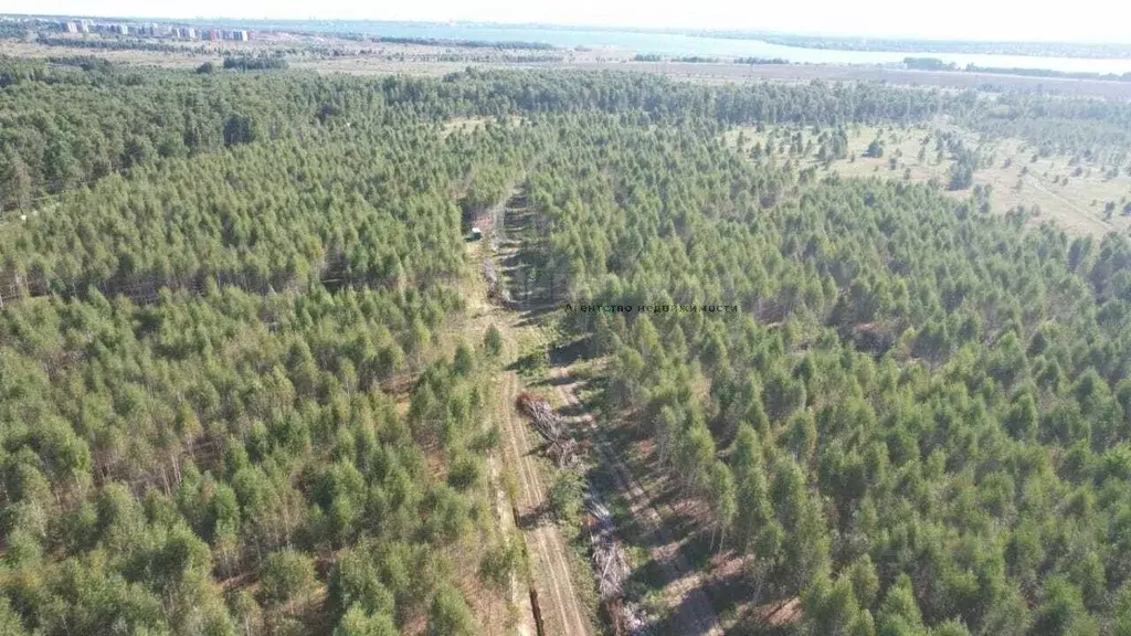 Участок в Челябинская область, Сосновский муниципальный округ, д. ... - Фото 1