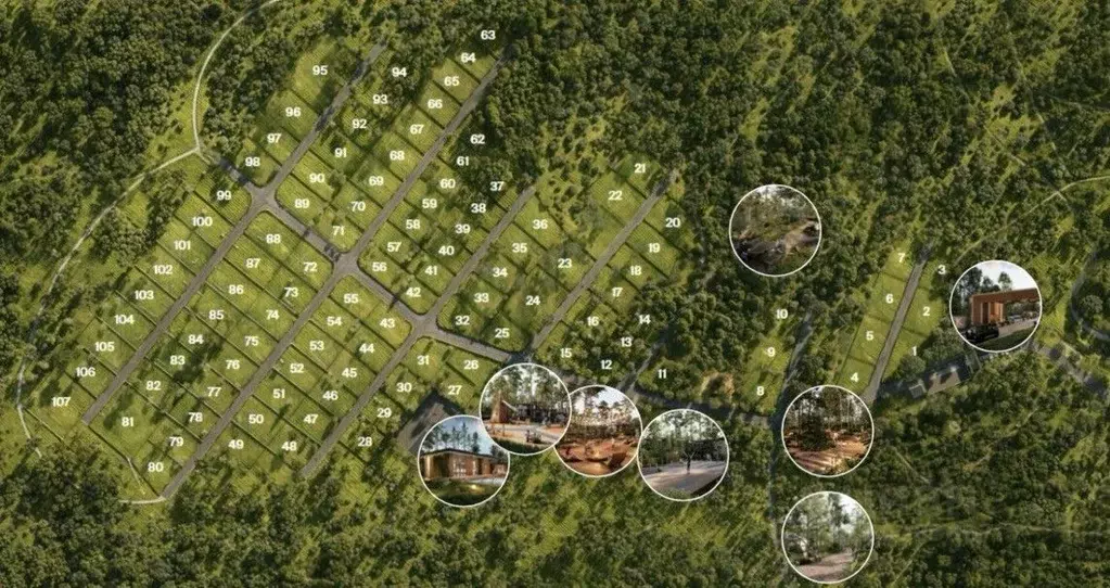 Участок в Ленинградская область, Всеволожский район, Куйвозовское ... - Фото 2