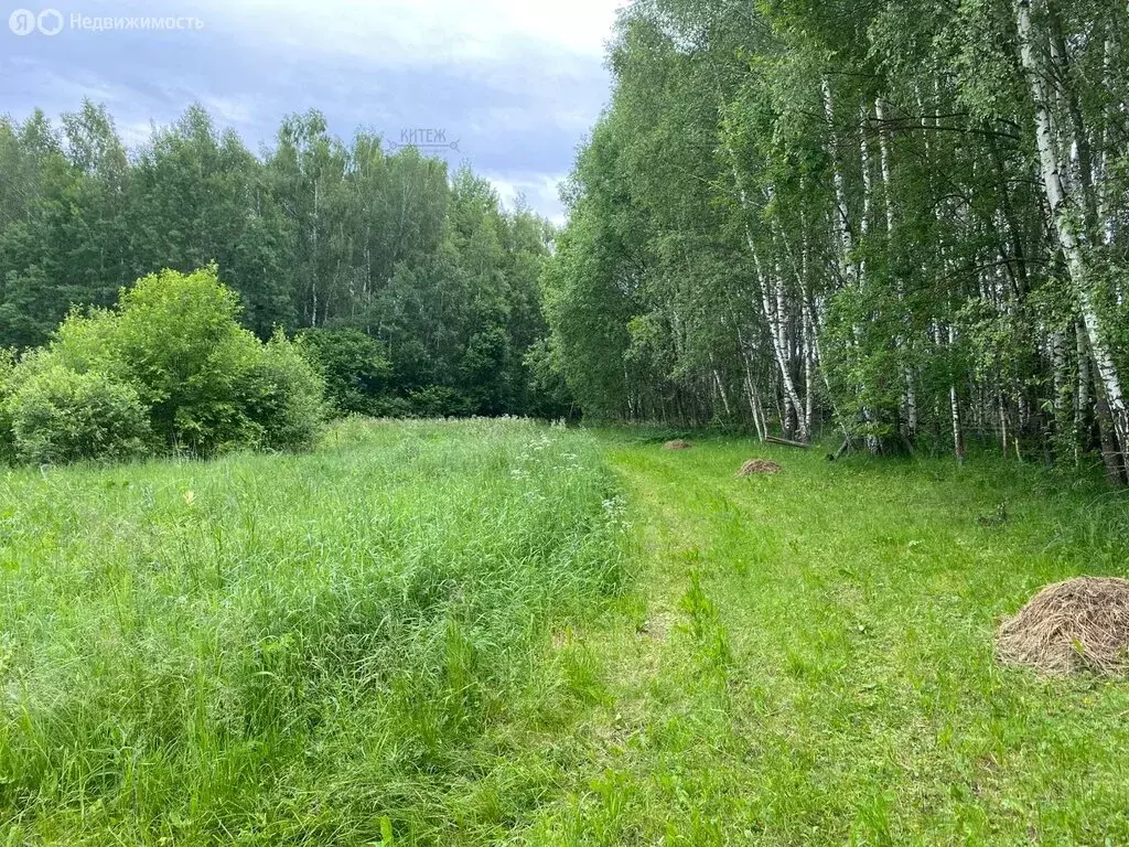Дом в сельское поселение Покровское, деревня Комсино, 29 (40 м) - Фото 0