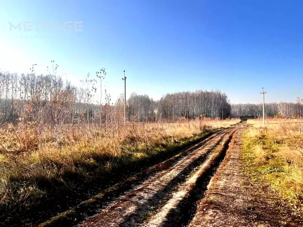Участок 10 сот. (СНТ, ДНП) - Фото 0
