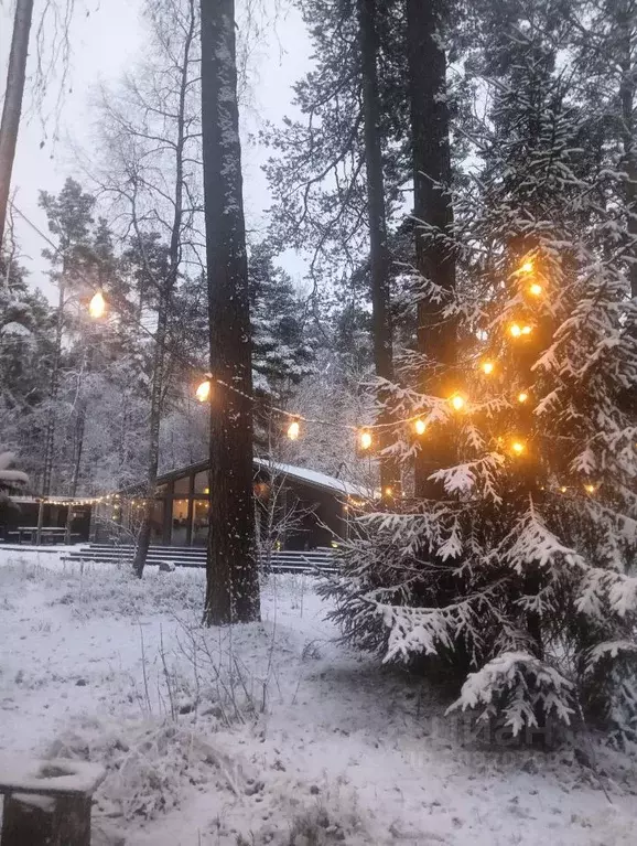Дом в Ленинградская область, Приозерский район, Сосновское с/пос, ... - Фото 1