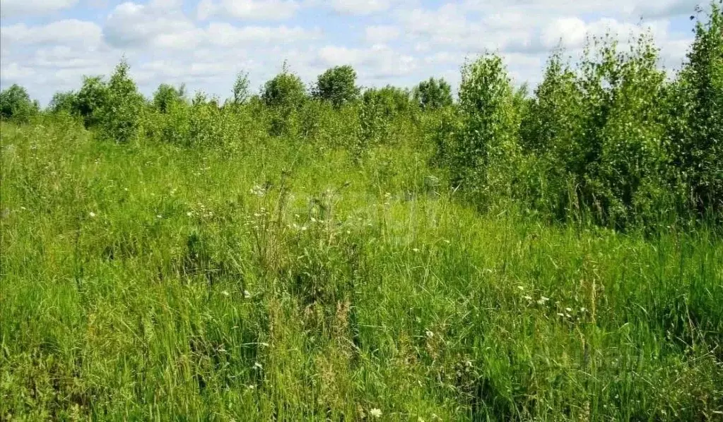 Участок в Ростовская область, Ростов-на-Дону Бетонный пер. (4.0 сот.) - Фото 1