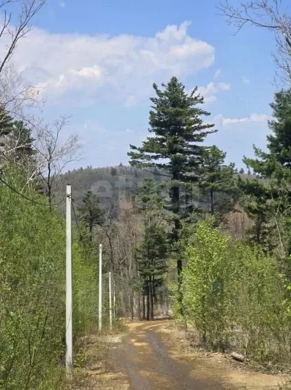 Участок в Приморский край, Владивосток Черная Речка мкр,  (6.05 сот.) - Фото 2