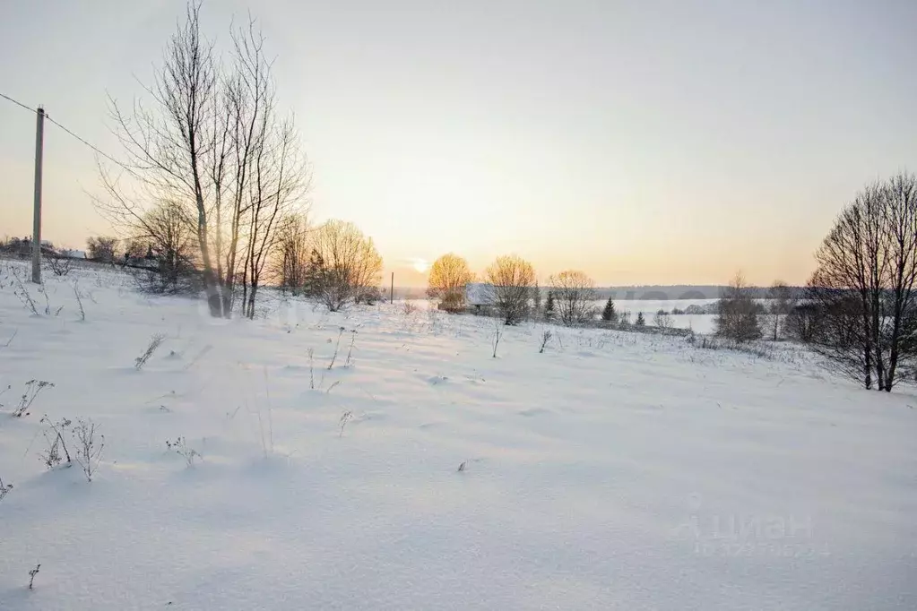 Участок, 15.9 сот., поселения (ижс) - Фото 1