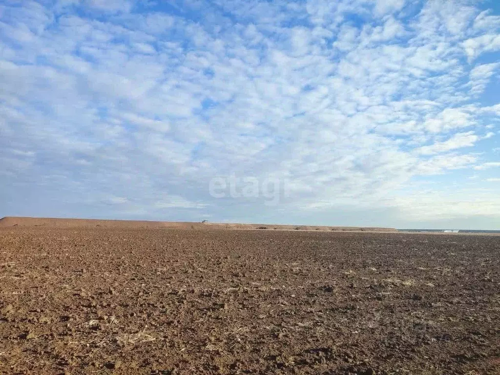 Участок в Крым, Черноморский район, с. Новосельское ул. Миндальная ... - Фото 0