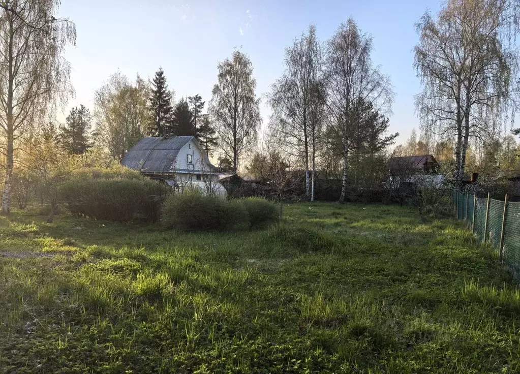 Участок в Санкт-Петербург Малахит СНТ, ул. Лесная, 14 (11.0 сот.) - Фото 2