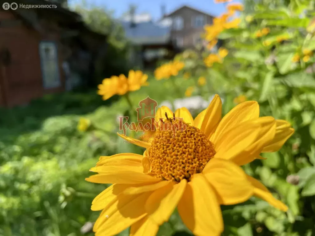 Участок в Александров, улица Нахимова, 11 (7.7 м) - Фото 1
