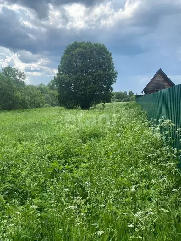 Участок в Московская область, Дмитровский городской округ, д. ... - Фото 0