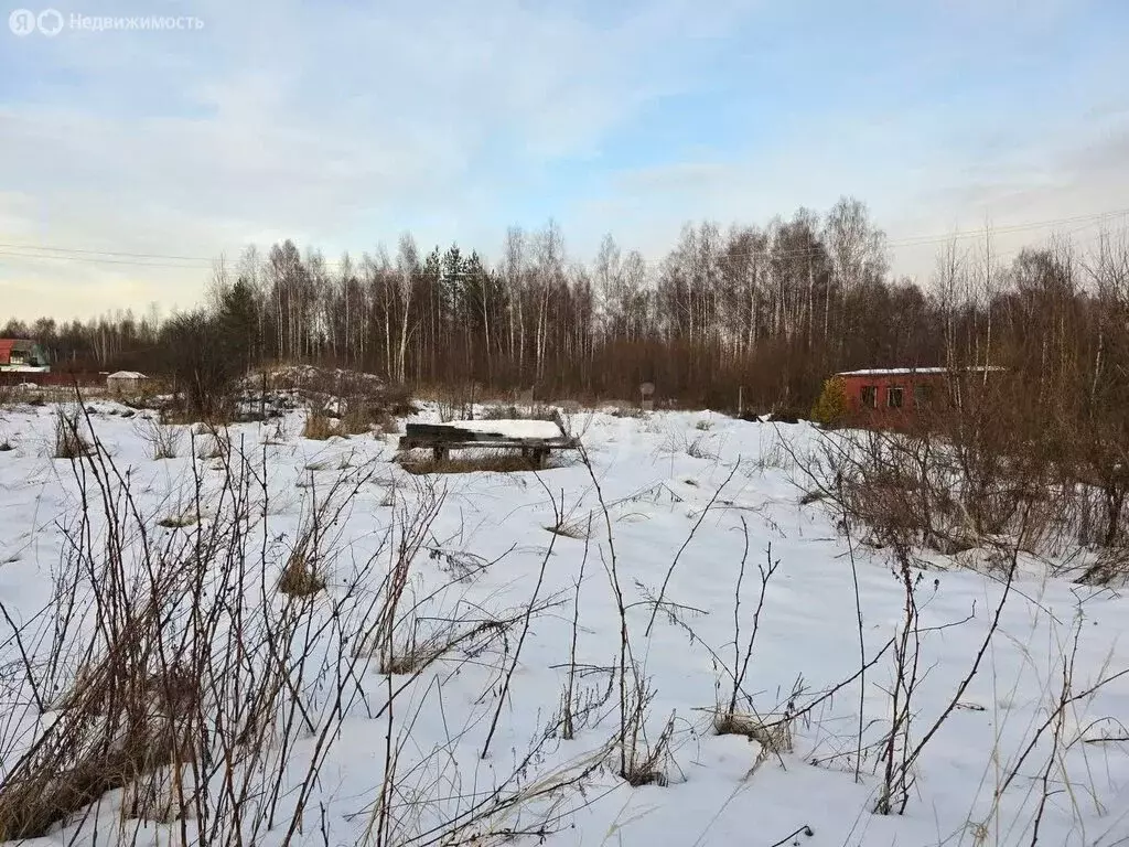 Участок в Заволжское сельское поселение, СНТ Росток (10 м) - Фото 1