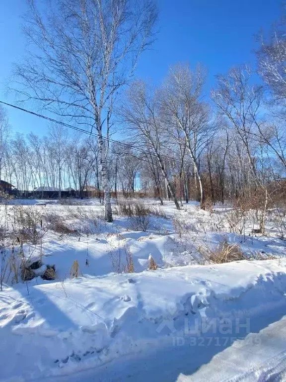 Участок в Амурская область, Благовещенск городской округ, пос. ... - Фото 1