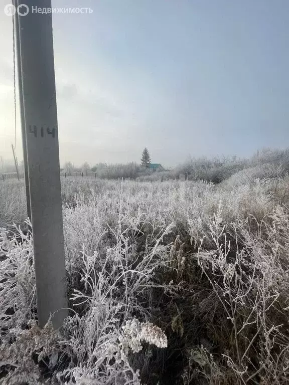 Участок в городской округ Ульяновск, село Отрада (13 м) - Фото 0