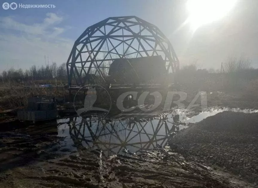 Участок в Тюмень, садовое товарищество Липовый Остров (8 м) - Фото 1