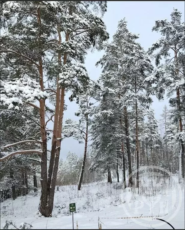 Участок в Выборгский район, Полянское сельское поселение, посёлок ... - Фото 2