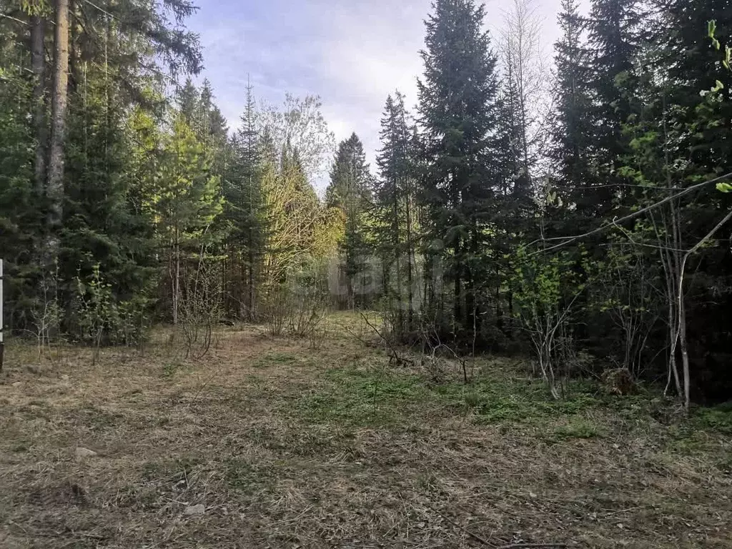 Участок в Свердловская область, Нижний Тагил муниципальный округ, пос. ... - Фото 2