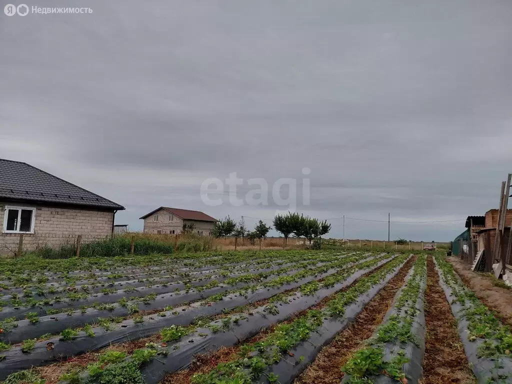 Участок в село Прималкинское, Строительная улица (8.3 м) - Фото 2