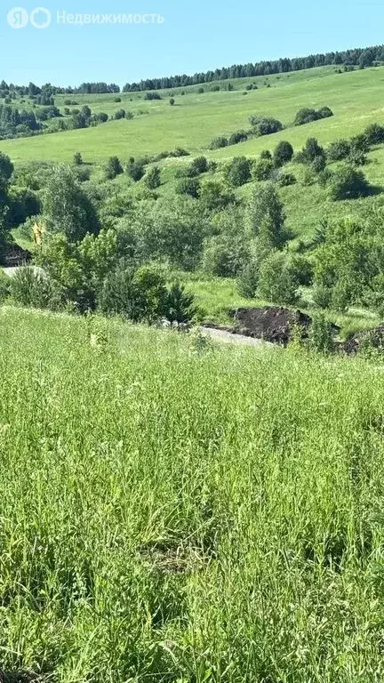 Участок в Республика Алтай, Горно-Алтайск (7.99 м) - Фото 1