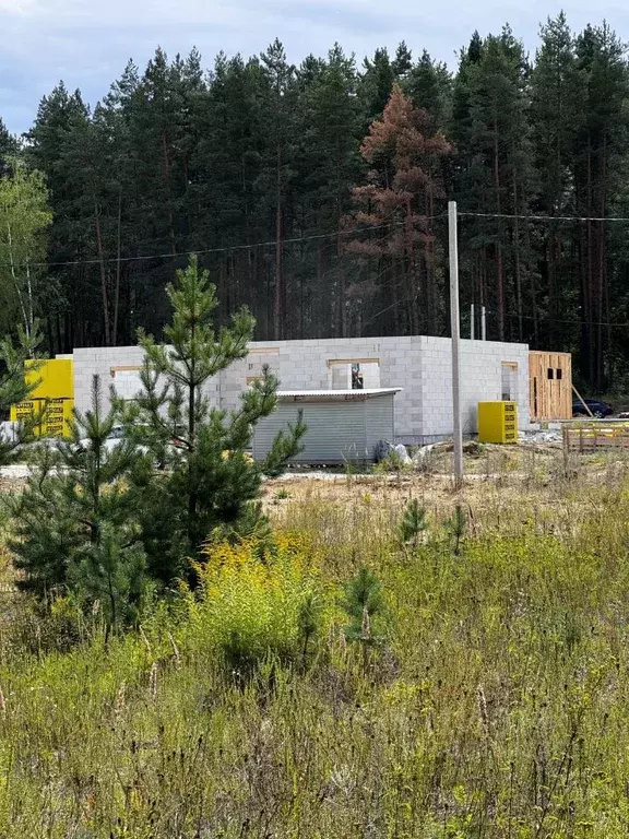 Участок в Владимирская область, Судогодский район, Вяткинское ... - Фото 0