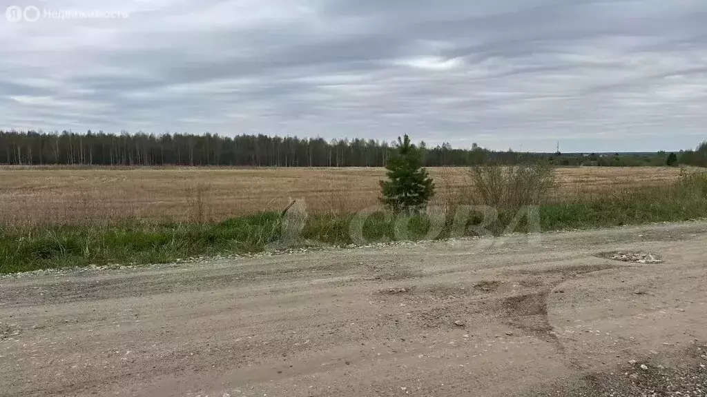 Участок в Свердловская область, Тугулымский муниципальный округ, ... - Фото 0