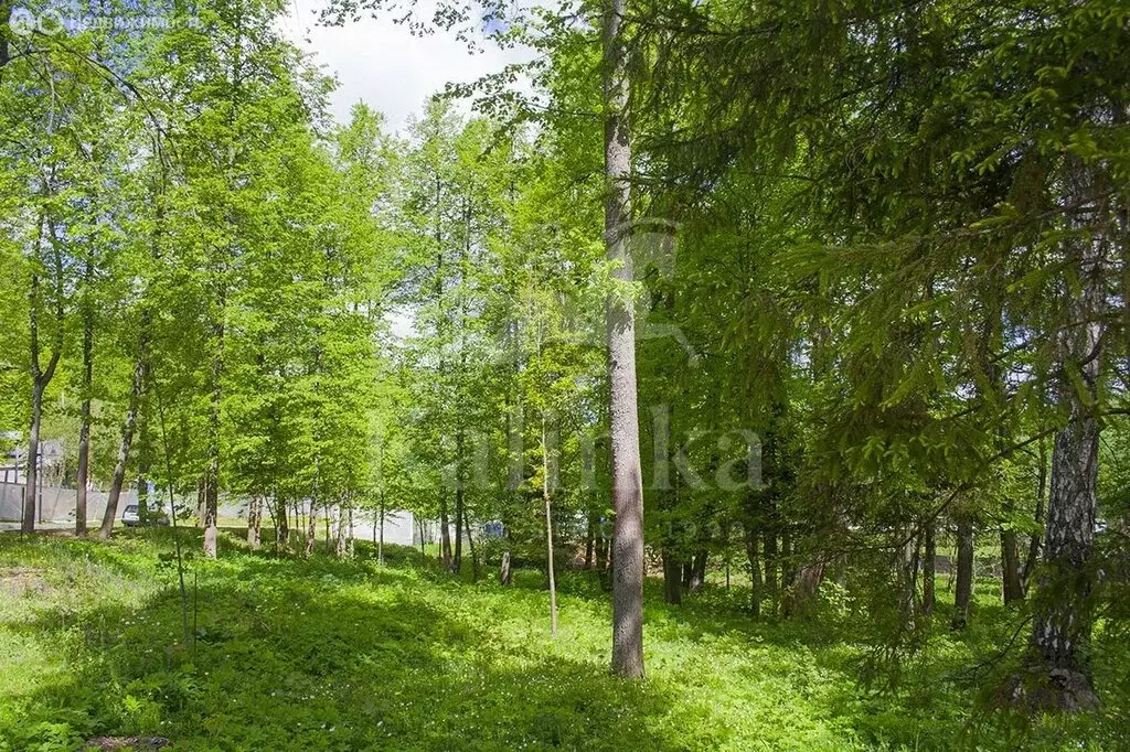 Участок в деревня Солослово, Цветочная улица (500 м) - Фото 0