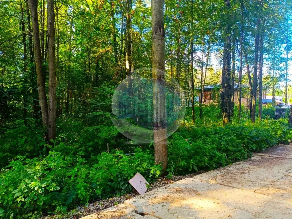 Участок в Московская область, Ленинский городской округ, д. Спасские ... - Фото 1