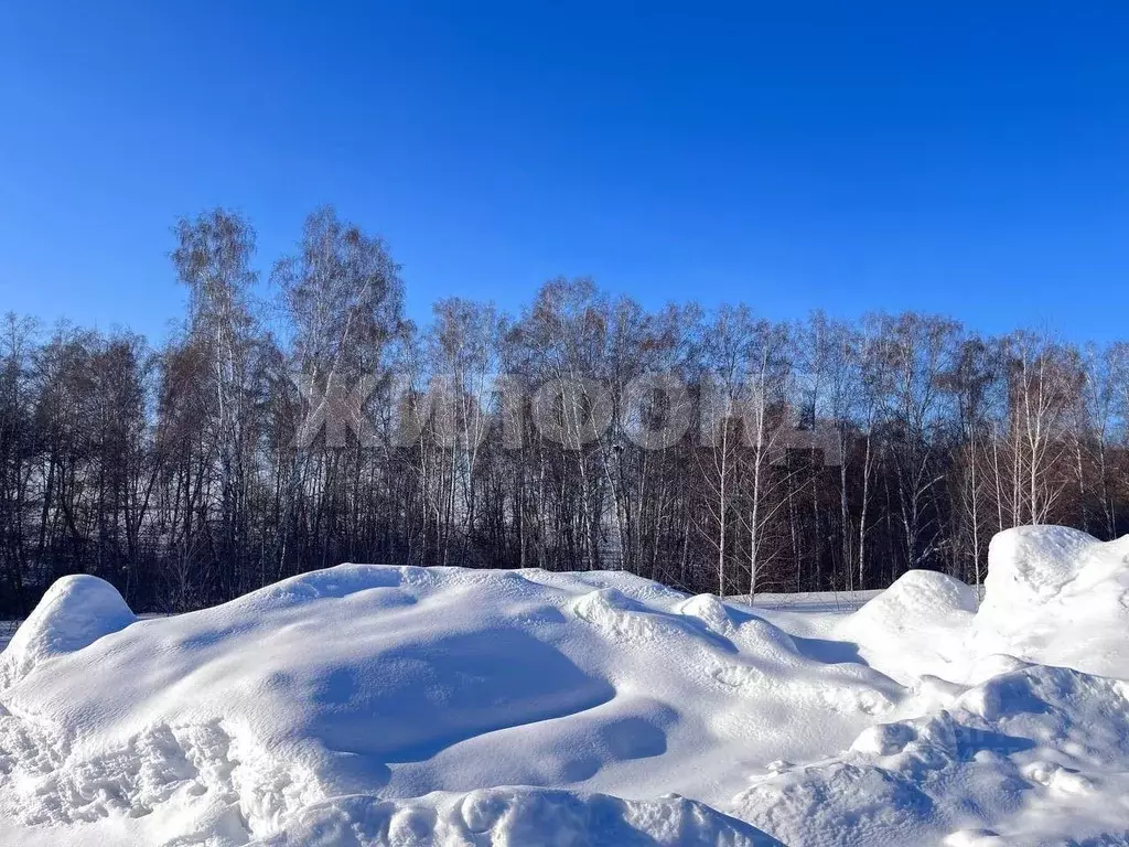 Участок в Новосибирская область, Новосибирский район, Каменский ... - Фото 1