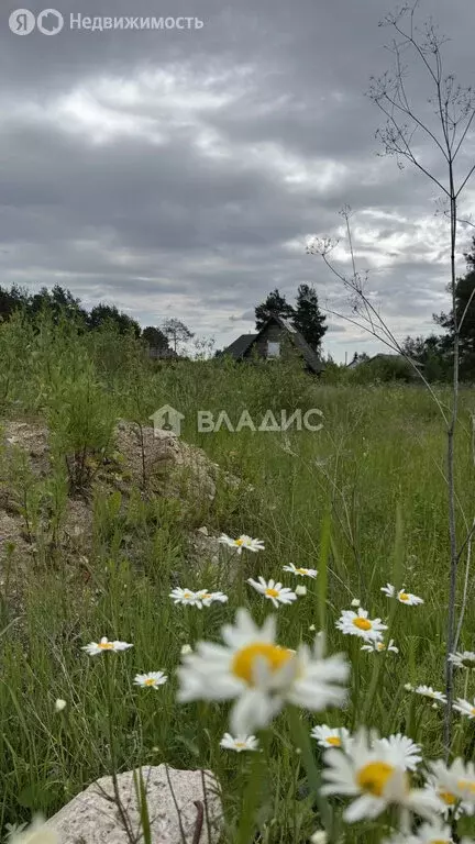 Дом в Вологодский муниципальный округ, посёлок Сосновка (36 м) - Фото 1