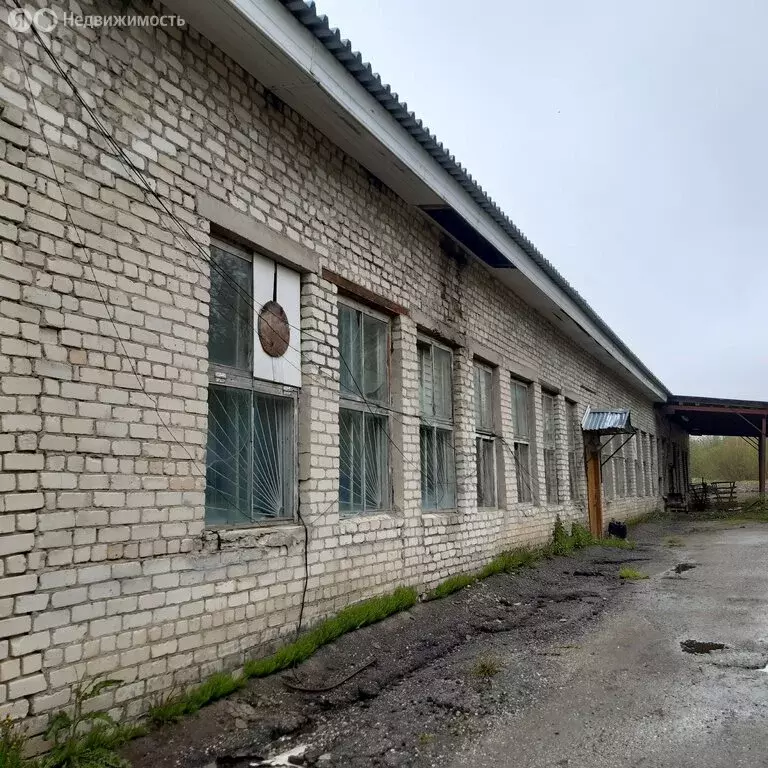 Помещение свободного назначения (1300 м) - Фото 1