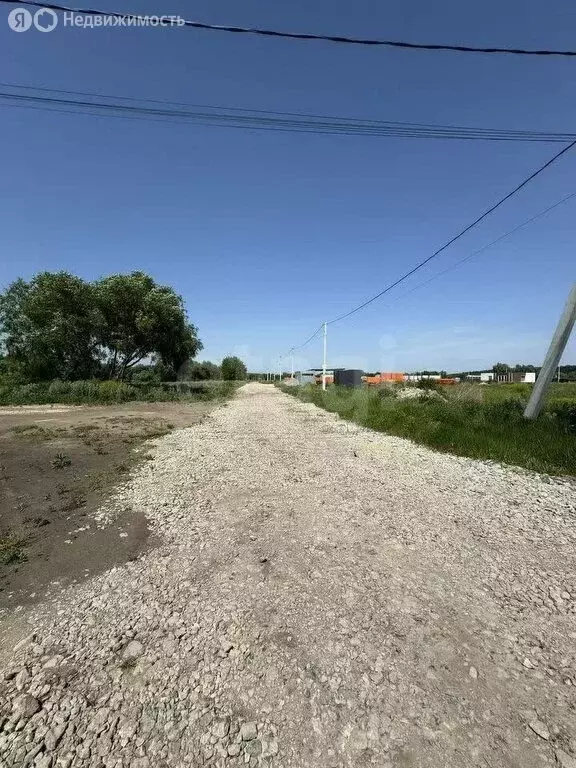 Участок в Хохольский район, Новогремяченское сельское поселение, ДНП ... - Фото 1