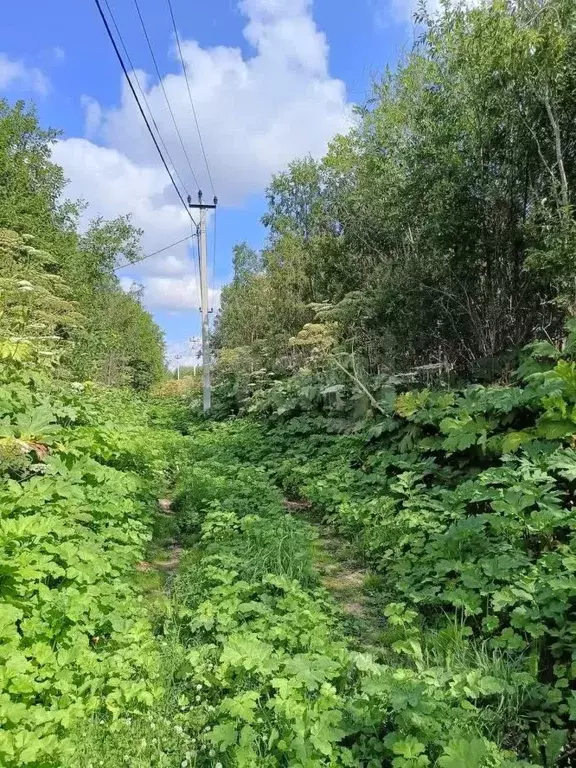Участок в Коми, Сыктывдинский район, с. Выльгорт ул. Березовая (8.8 ... - Фото 2