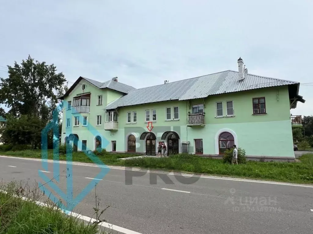 Торговая площадь в Московская область, Электросталь ул. Чернышевского, ... - Фото 2